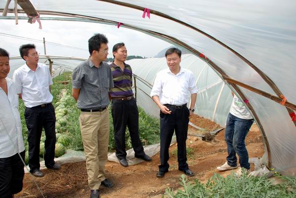 �����wϵ�J(r��n)�C